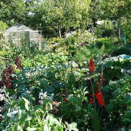 Haus Mit Aussicht * Horn-Bad Meinberg