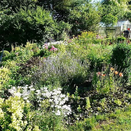 Apartamento Haus Mit Aussicht