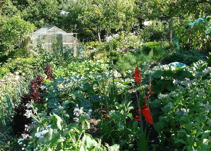 Haus Mit Aussicht * 霍恩-巴特迈恩贝格