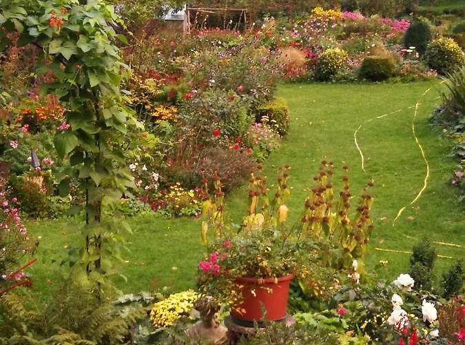 Haus Mit Aussicht * 霍恩-巴特迈恩贝格